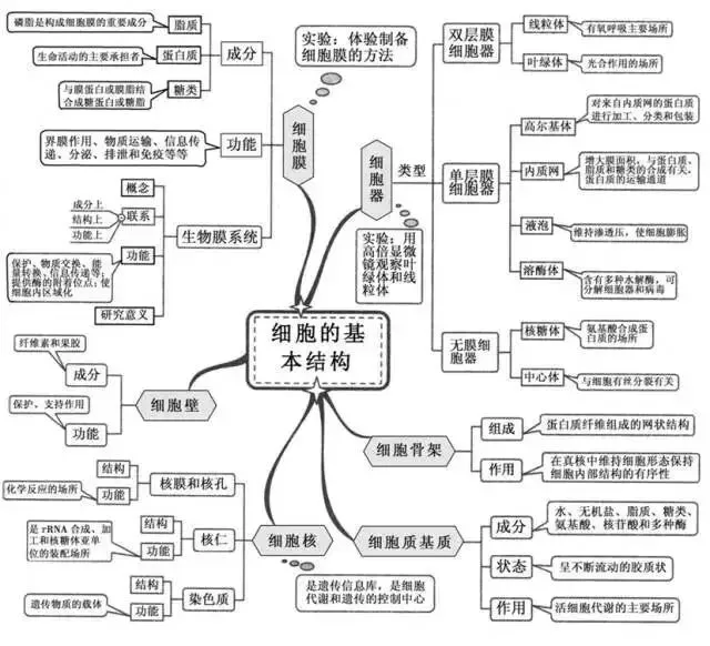 收藏:高考各科新思维导图全汇总-第192张图片-四季读书网