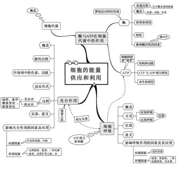 收藏:高考各科新思维导图全汇总-第194张图片-四季读书网