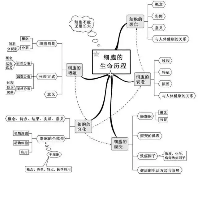 收藏:高考各科新思维导图全汇总-第195张图片-四季读书网