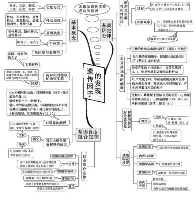 收藏:高考各科新思维导图全汇总-第196张图片-四季读书网
