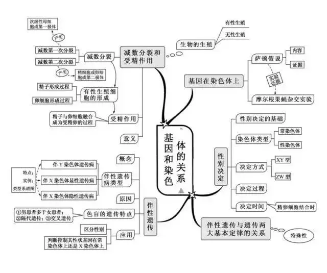 收藏:高考各科新思维导图全汇总-第197张图片-四季读书网