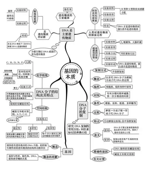 收藏:高考各科新思维导图全汇总-第198张图片-四季读书网