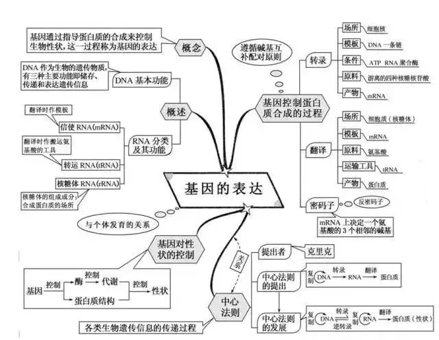 收藏:高考各科新思维导图全汇总-第199张图片-四季读书网