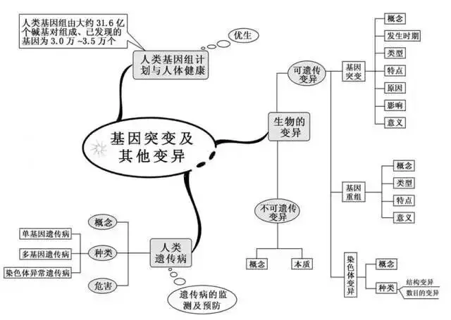 收藏:高考各科新思维导图全汇总-第200张图片-四季读书网