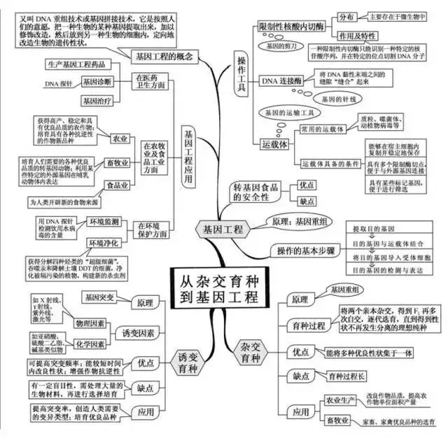 收藏:高考各科新思维导图全汇总-第201张图片-四季读书网