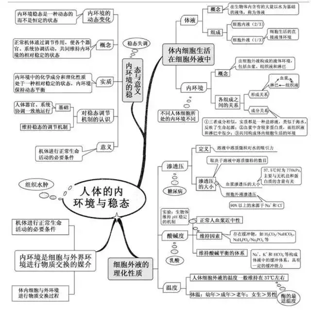 收藏:高考各科新思维导图全汇总-第203张图片-四季读书网