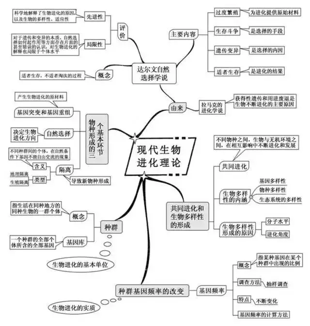 收藏:高考各科新思维导图全汇总-第202张图片-四季读书网