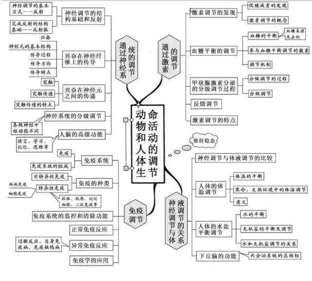 收藏:高考各科新思维导图全汇总-第204张图片-四季读书网