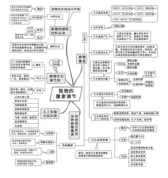 收藏:高考各科新思维导图全汇总-第205张图片-四季读书网