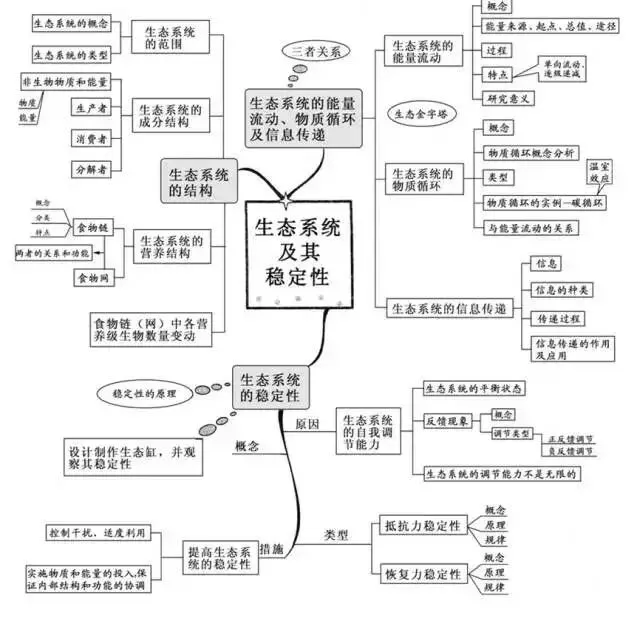 收藏:高考各科新思维导图全汇总-第207张图片-四季读书网