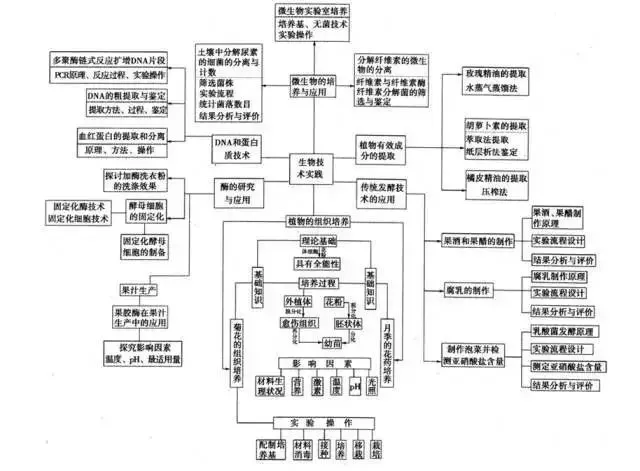收藏:高考各科新思维导图全汇总-第209张图片-四季读书网