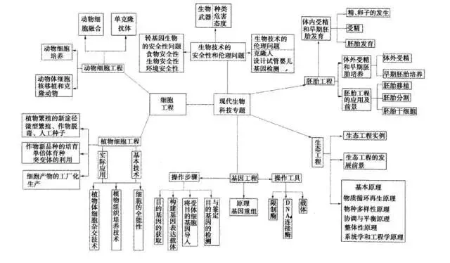 收藏:高考各科新思维导图全汇总-第210张图片-四季读书网