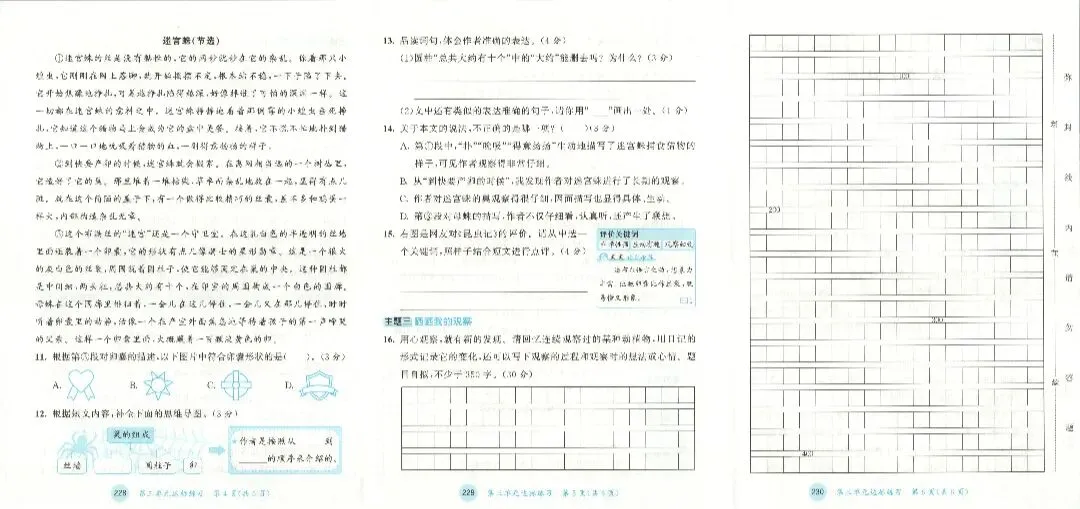人教版四年级上册语文单元试卷+期中试卷+期末试卷》共11套含答案 完整版可打印-第6张图片-四季读书网 人教版四年级上册语文单元试卷+期中试卷+期末试卷》共11套含答案 完整版可打印-第6张图片-四季读书网