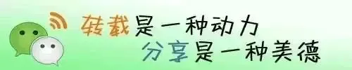 【2027届中考模拟作文】河北石家庄百校联考九年级上学期语文第一次阶段考:快慢相宜,方得华章|择快慢之度,赴青春之约-第3张图片-四季读书网 【2027届中考模拟作文】河北石家庄百校联考九年级上学期语文第一次阶段考:快慢相宜,方得华章|择快慢之度,赴青春之约-第3张图片-四季读书网