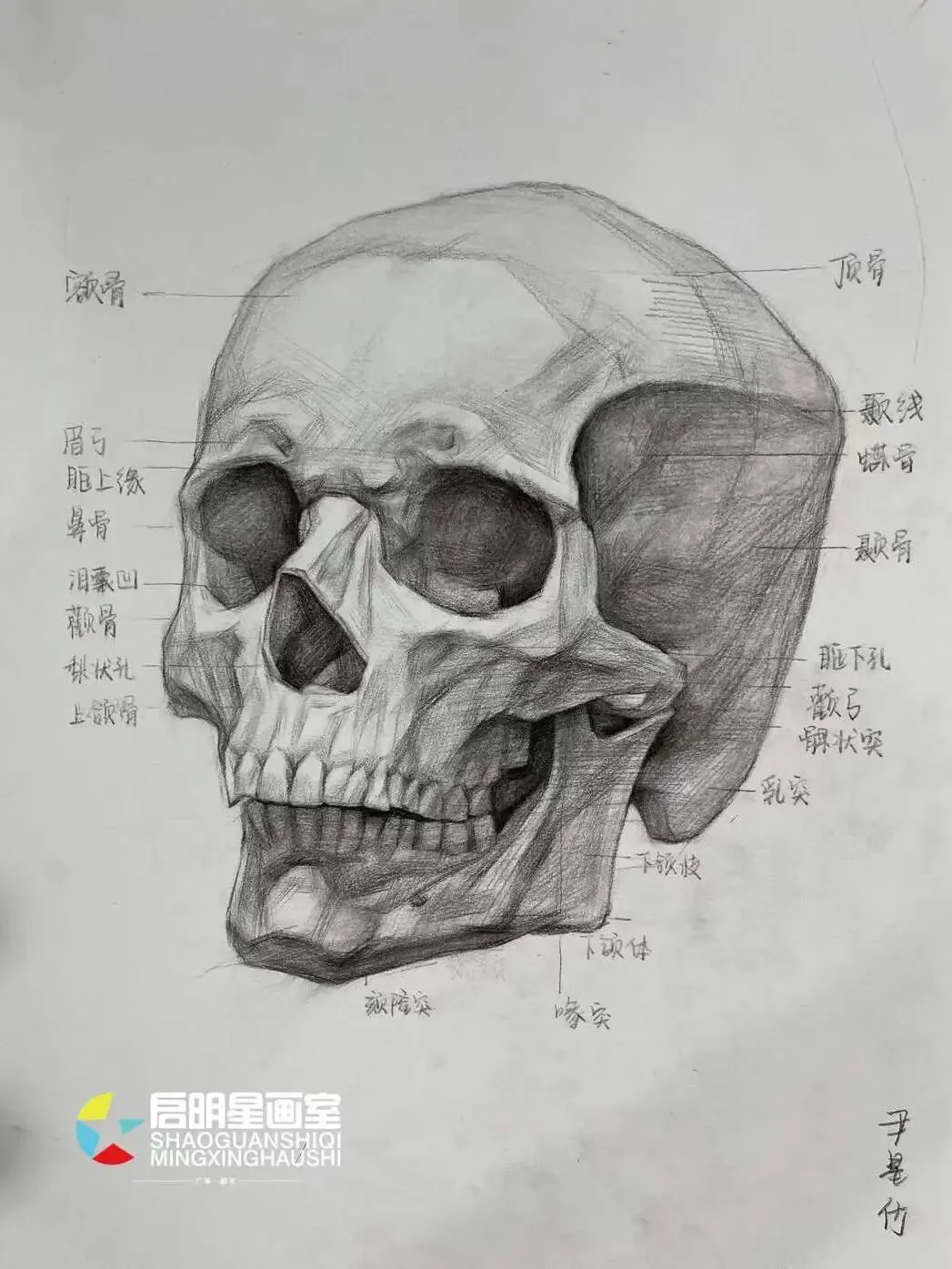 启明星美术高考班介绍-第81张图片-四季读书网 启明星美术高考班介绍-第81张图片-四季读书网