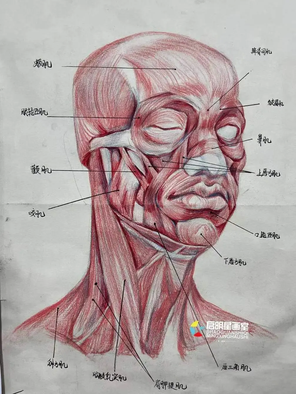 启明星美术高考班介绍-第82张图片-四季读书网 启明星美术高考班介绍-第82张图片-四季读书网