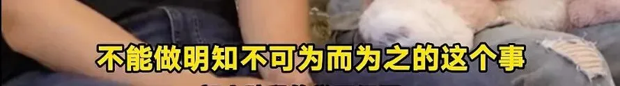 上海女孩中考692分放弃读市重点,父亲的一句话让多少家长沉默了-第4张图片-四季读书网 上海女孩中考692分放弃读市重点,父亲的一句话让多少家长沉默了-第4张图片-四季读书网