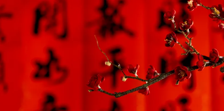 诗词丨从初一到十五,一天一首诗词伴你过龙年!-第10张图片-四季读书网