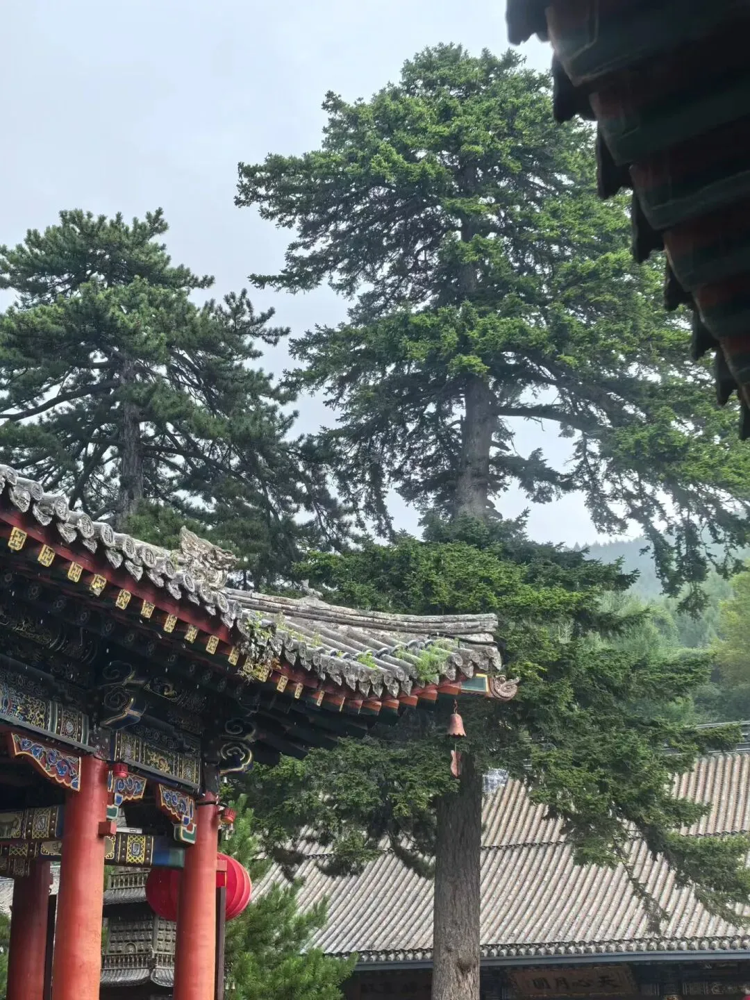 高考作文备考:灶台边的回响(武汉市2027届高三九月调研)-第1张图片-四季读书网 高考作文备考:灶台边的回响(武汉市2027届高三九月调研)-第1张图片-四季读书网