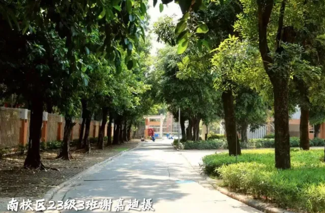 金广附,曾经的中考均分六连冠,如今实力如何?-第44张图片-四季读书网 金广附,曾经的中考均分六连冠,如今实力如何?-第44张图片-四季读书网
