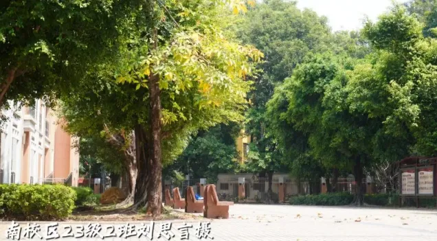 金广附,曾经的中考均分六连冠,如今实力如何?-第45张图片-四季读书网 金广附,曾经的中考均分六连冠,如今实力如何?-第45张图片-四季读书网