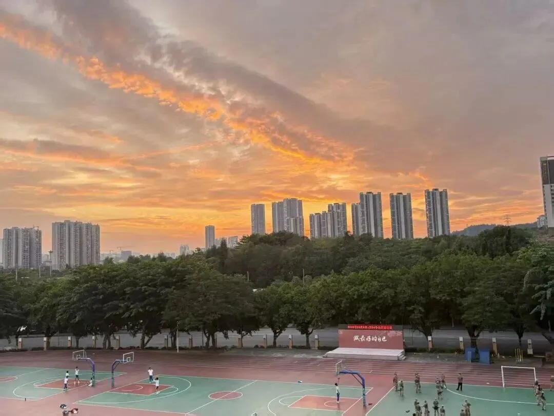 金广附,曾经的中考均分六连冠,如今实力如何?-第46张图片-四季读书网 金广附,曾经的中考均分六连冠,如今实力如何?-第46张图片-四季读书网