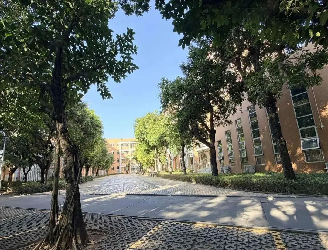 金广附,曾经的中考均分六连冠,如今实力如何?-第48张图片-四季读书网 金广附,曾经的中考均分六连冠,如今实力如何?-第48张图片-四季读书网