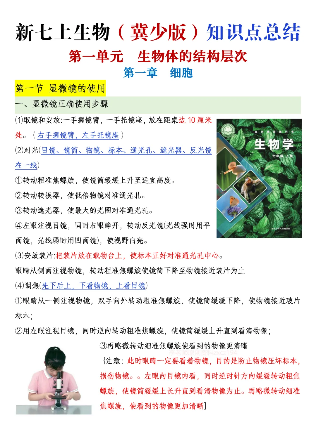 【初一资料】2026 新版七年级上册冀少版生物课内考点知识汇总,完整电子版可打印使用!-第2张图片-四季读书网 【初一资料】2026 新版七年级上册冀少版生物课内考点知识汇总,完整电子版可打印使用!-第2张图片-四季读书网