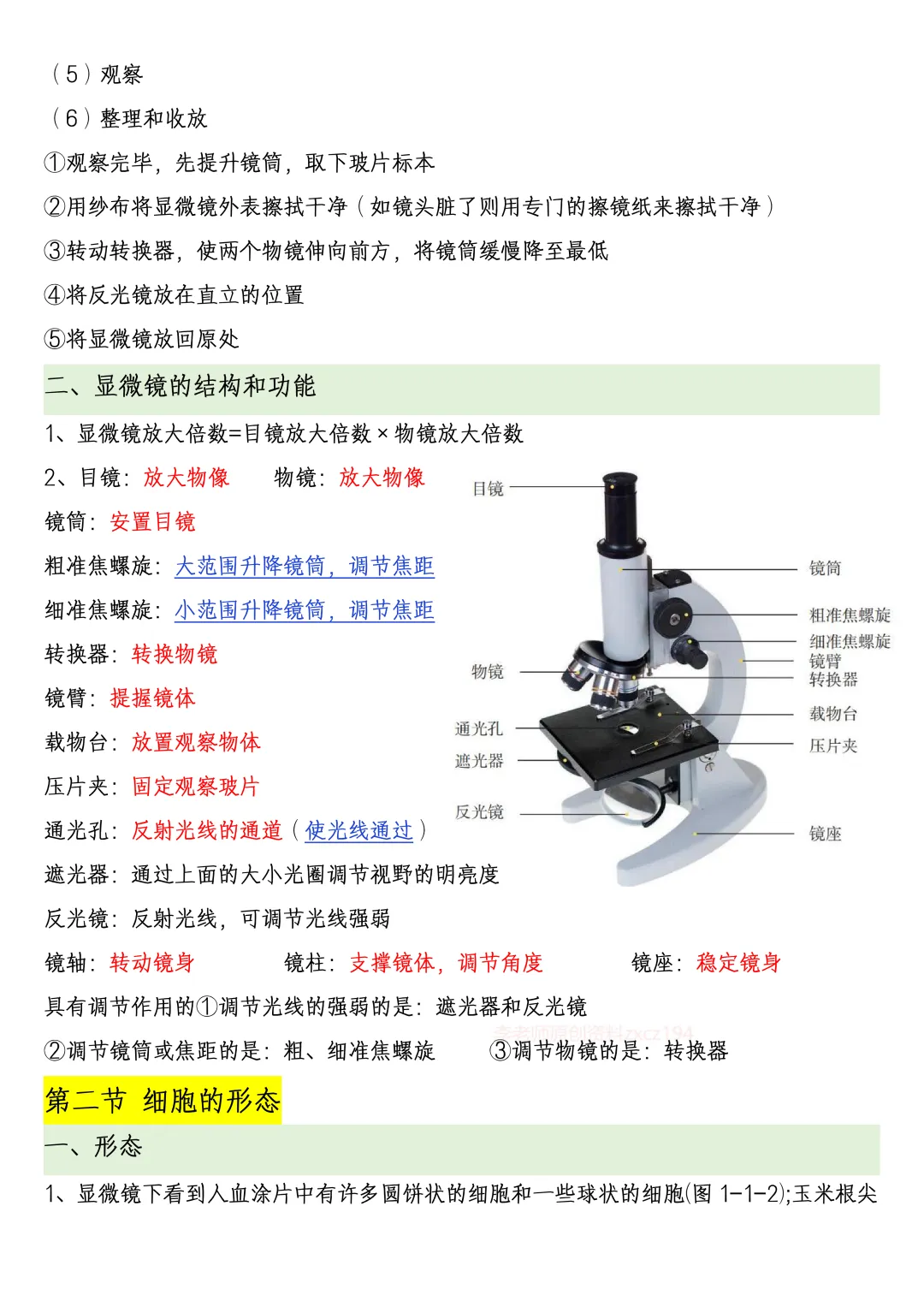 【初一资料】2026 新版七年级上册冀少版生物课内考点知识汇总,完整电子版可打印使用!-第3张图片-四季读书网 【初一资料】2026 新版七年级上册冀少版生物课内考点知识汇总,完整电子版可打印使用!-第3张图片-四季读书网