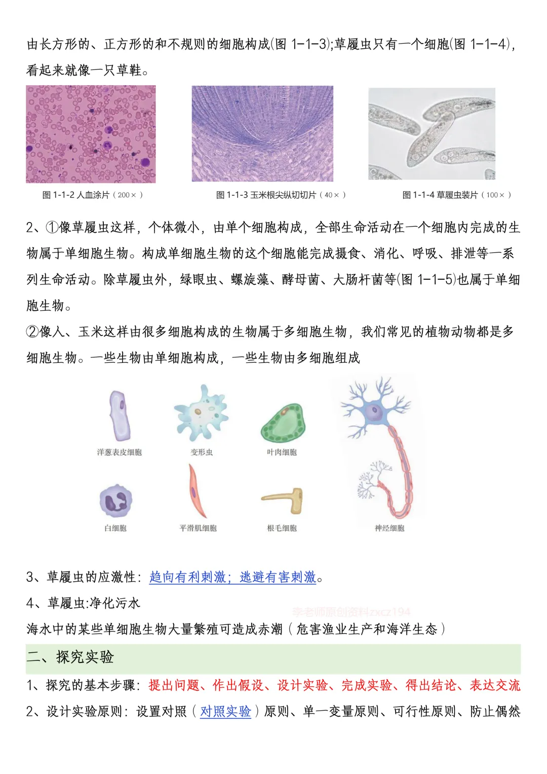【初一资料】2026 新版七年级上册冀少版生物课内考点知识汇总,完整电子版可打印使用!-第4张图片-四季读书网 【初一资料】2026 新版七年级上册冀少版生物课内考点知识汇总,完整电子版可打印使用!-第4张图片-四季读书网