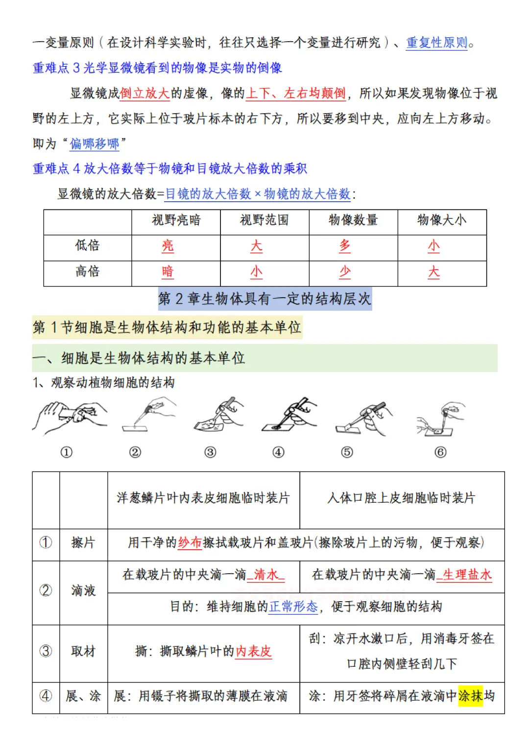 【初一资料】2026 新版七年级上册济南版生物课内考点知识汇总,完整电子版可打印使用!-第4张图片-四季读书网 【初一资料】2026 新版七年级上册济南版生物课内考点知识汇总,完整电子版可打印使用!-第4张图片-四季读书网