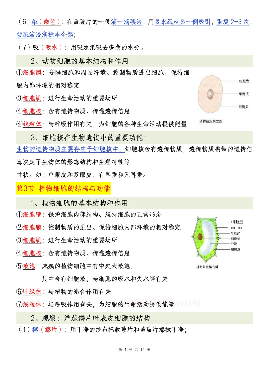 【初一资料】2026 新版七年级上册苏教版生物课内考点知识汇总,完整电子版可打印使用!-第5张图片-四季读书网 【初一资料】2026 新版七年级上册苏教版生物课内考点知识汇总,完整电子版可打印使用!-第5张图片-四季读书网