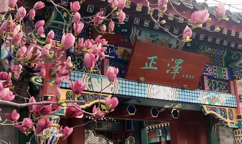 均分全区第三!一校2026中考成绩发布!-第4张图片-四季读书网