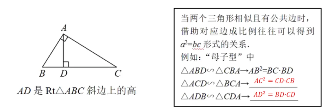 初三上必考专题2:相似三角形模型合集-第41张图片-四季读书网 初三上必考专题2:相似三角形模型合集-第41张图片-四季读书网