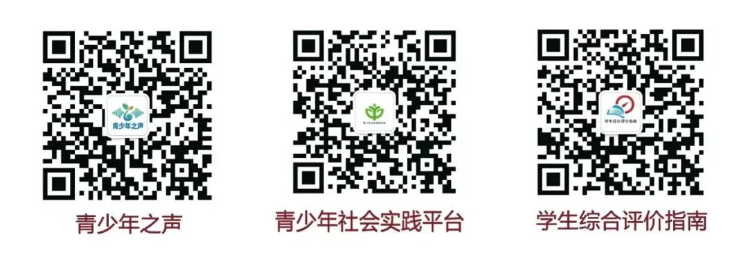 2026升学大势已定:志愿填报不再决胜高考,真正的较量早已提前三年-第4张图片-四季读书网 2026升学大势已定:志愿填报不再决胜高考,真正的较量早已提前三年-第4张图片-四季读书网