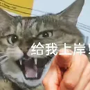 考研只能选1个学校?让模考成绩帮你选!-第10张图片-四季读书网 考研只能选1个学校?让模考成绩帮你选!-第10张图片-四季读书网