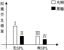 生物高考真题 | 2022年高考生物真题(上海卷)-第4张图片-四季读书网 生物高考真题 | 2022年高考生物真题(上海卷)-第4张图片-四季读书网