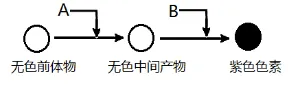 生物高考真题 | 2022年高考生物真题(上海卷)-第6张图片-四季读书网 生物高考真题 | 2022年高考生物真题(上海卷)-第6张图片-四季读书网