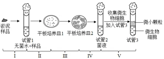 生物高考真题 | 2022年高考生物真题(上海卷)-第7张图片-四季读书网 生物高考真题 | 2022年高考生物真题(上海卷)-第7张图片-四季读书网