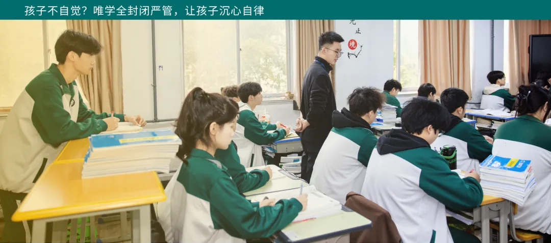 唯学特邀高考命题研究专家幸兴:高考作文,究竟考查什么?-第21张图片-四季读书网 唯学特邀高考命题研究专家幸兴:高考作文,究竟考查什么?-第21张图片-四季读书网