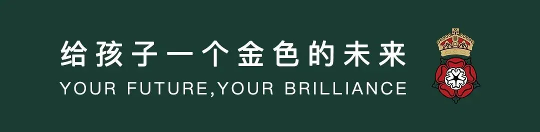 又拿奖了!RGSG初二少年手搓机器人,冲进国赛-第1张图片-四季读书网