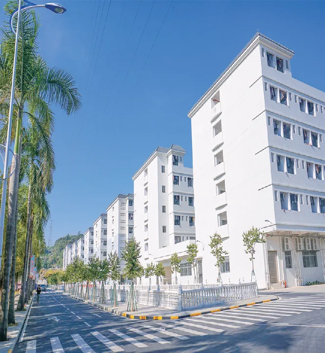 注意!学考被录取了,还能参加高考吗?-第39张图片-四季读书网