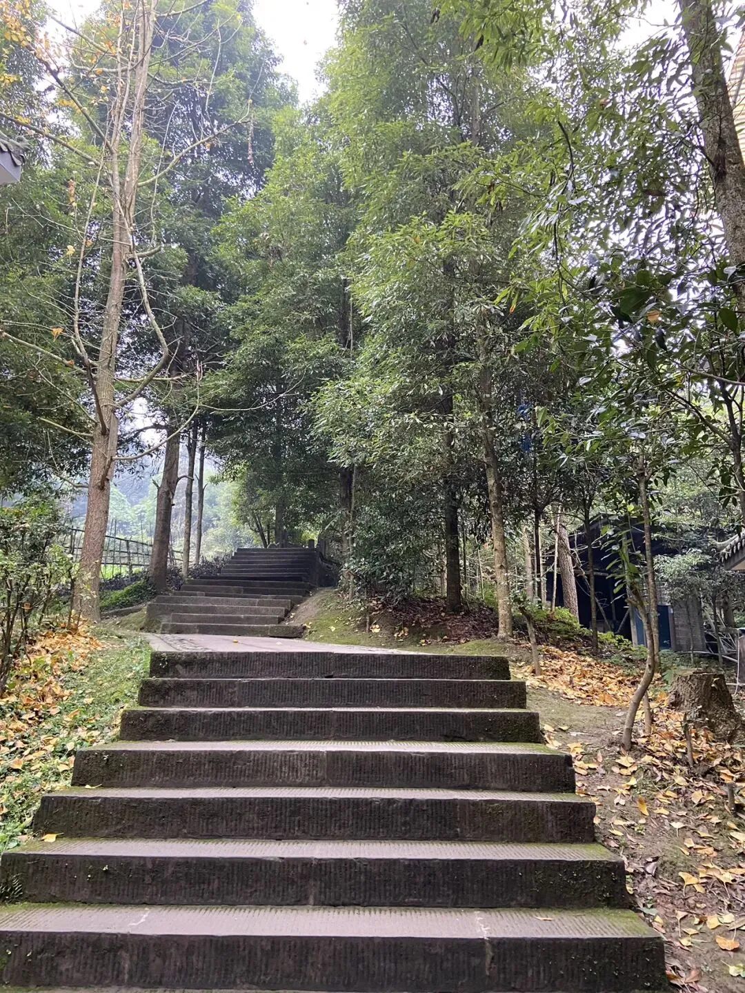 早培班孩子初三学高一化学,必修一学完才 60 多分-第2张图片-四季读书网 早培班孩子初三学高一化学,必修一学完才 60 多分-第2张图片-四季读书网