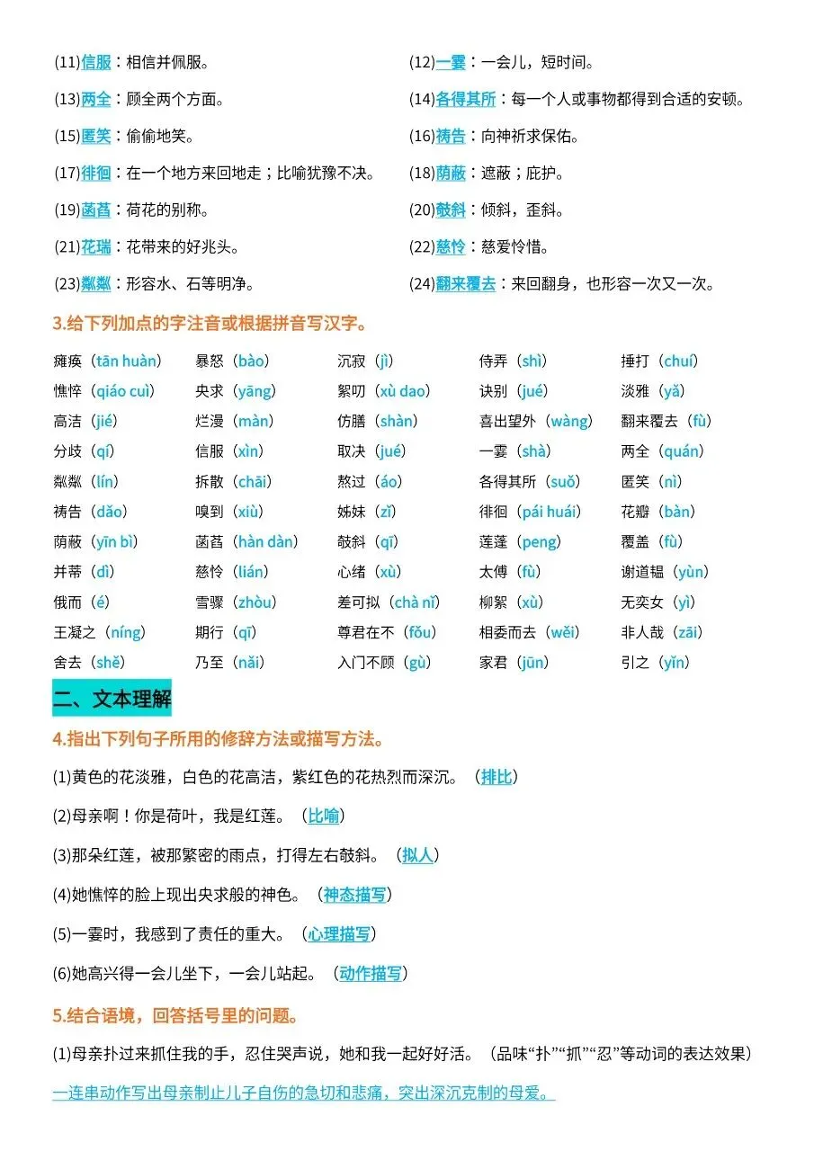 初一新版 2026【七上语文】全册字词过关+文本理解知识背诵总结,电子版可打印!-第5张图片-四季读书网 初一新版 2026【七上语文】全册字词过关+文本理解知识背诵总结,电子版可打印!-第5张图片-四季读书网