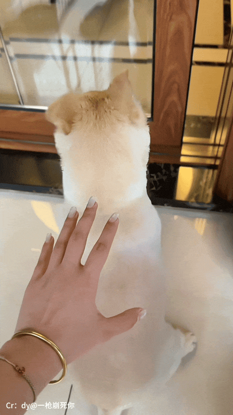 “当戏精家长面对孩子高考时……”哈哈哈哈哈哈这个心态我是佩服的!-第22张图片-四季读书网 “当戏精家长面对孩子高考时……”哈哈哈哈哈哈这个心态我是佩服的!-第22张图片-四季读书网