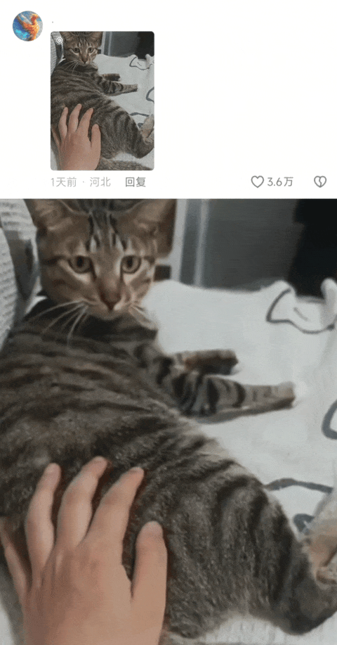 “当戏精家长面对孩子高考时……”哈哈哈哈哈哈这个心态我是佩服的!-第23张图片-四季读书网 “当戏精家长面对孩子高考时……”哈哈哈哈哈哈这个心态我是佩服的!-第23张图片-四季读书网