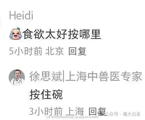 “当戏精家长面对孩子高考时……”哈哈哈哈哈哈这个心态我是佩服的!-第64张图片-四季读书网 “当戏精家长面对孩子高考时……”哈哈哈哈哈哈这个心态我是佩服的!-第64张图片-四季读书网
