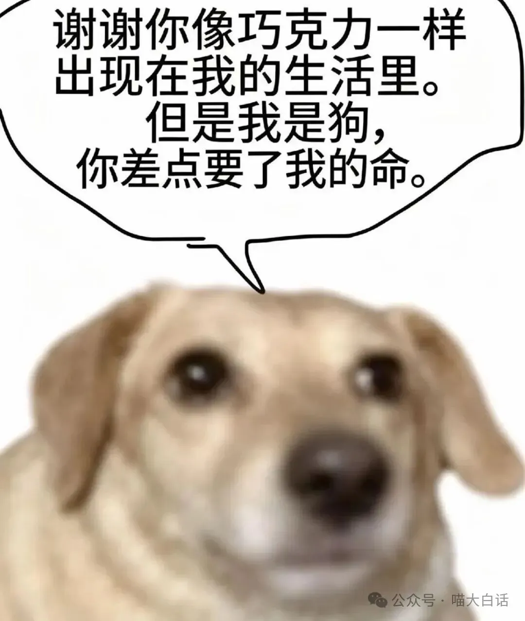 “当戏精家长面对孩子高考时……”哈哈哈哈哈哈这个心态我是佩服的!-第66张图片-四季读书网 “当戏精家长面对孩子高考时……”哈哈哈哈哈哈这个心态我是佩服的!-第66张图片-四季读书网