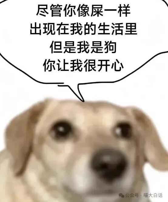 “当戏精家长面对孩子高考时……”哈哈哈哈哈哈这个心态我是佩服的!-第67张图片-四季读书网 “当戏精家长面对孩子高考时……”哈哈哈哈哈哈这个心态我是佩服的!-第67张图片-四季读书网