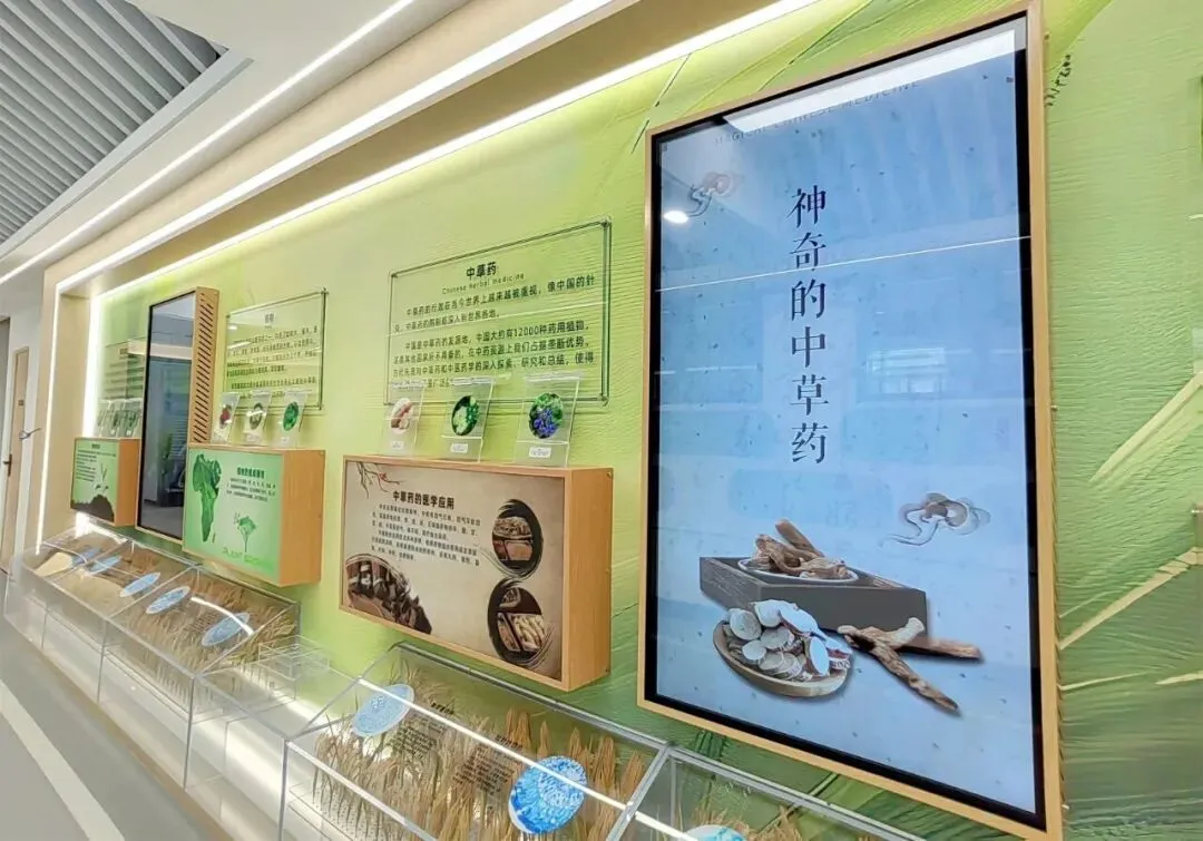 数字说话:省实白云校区,2026年中考成绩有多亮眼!-第35张图片-四季读书网